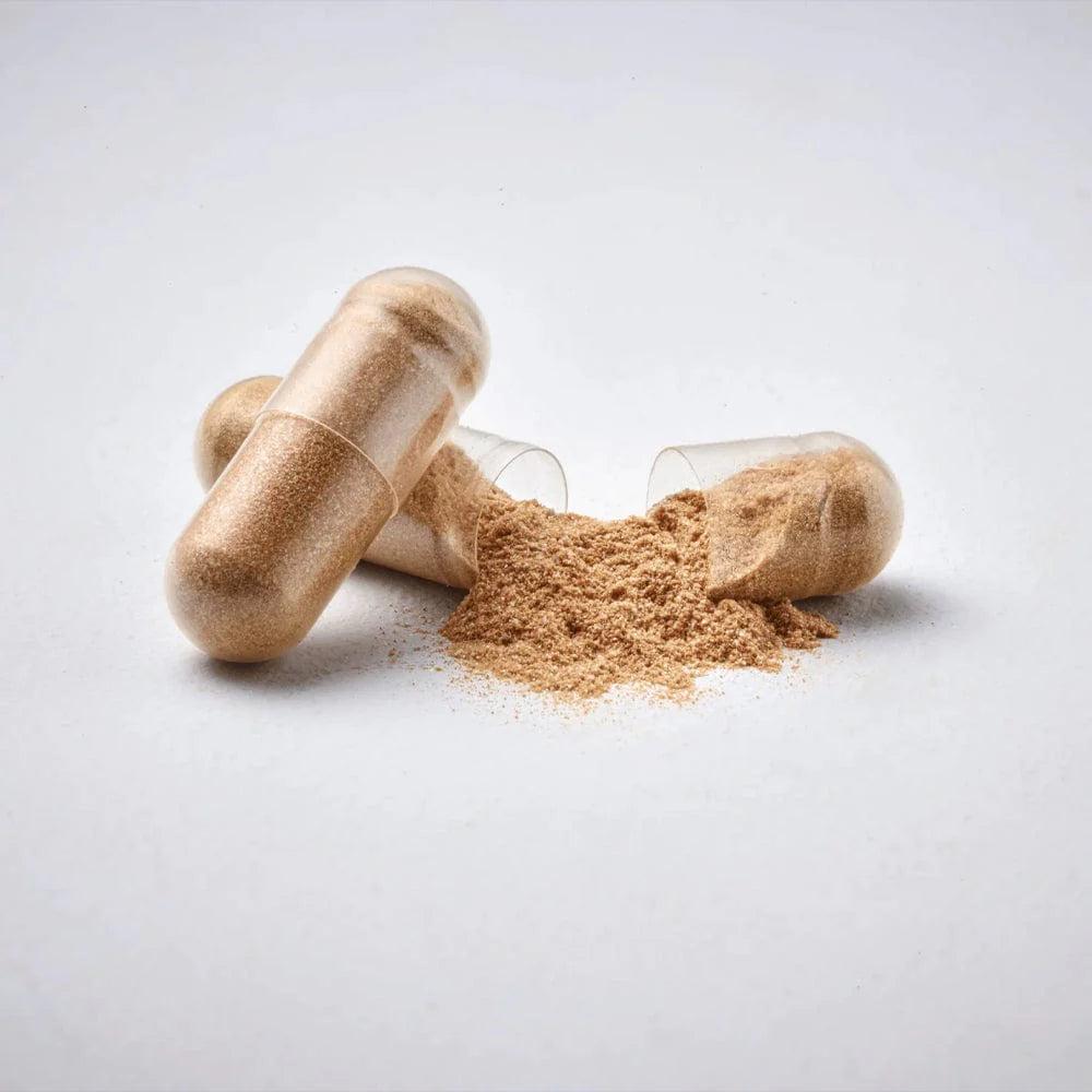 FabU Gut Culture 60 Capsules - Multi-strain Bacteria, Inulin & Chaga Mushrooms - 8 Billion Live Cultures
