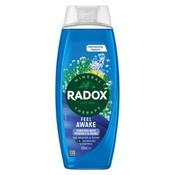 Radox Feel Awake Mood Boosting 2-in-1 Shower Gel &amp; Shampoo 450ml