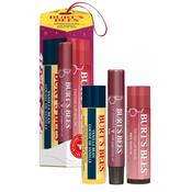 Burt's Bees Mistletoe Kiss Red 3pc Lip Gift Set4.25g Vanilla Bean Lip Balm Stick, 4.25g Red Dahlia Tinted Lip Balm &amp; 2.6g Fig Lip Shimmer