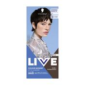 Live Colour Moment Charcoal Brunette 010