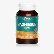 Magnesium 250mg 120 Tabs image