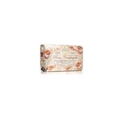 Nesti Dante Campagna Soap 150g