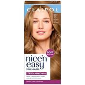 Nice'N'Easy Tone &amp; Gloss Medium Ash Blonde 811/73 image