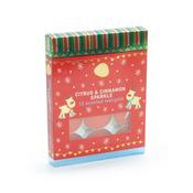 Pan Aroma Citrus &amp; Cinnamon Sparkle 12Pk Reindeer Tealights