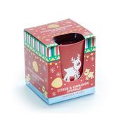 Pan Aroma Citrus &amp; Cinnamon Sparkle Candle 100g image