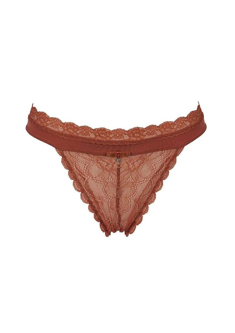 AFTER EDEN BRIEF