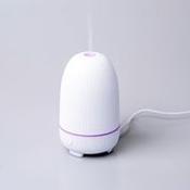 Ultrasonic Misting Diffuser - Cherchez La Femme Beauty image