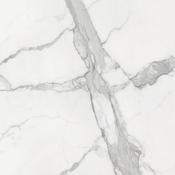 Statuario Matt 120x120 cm
