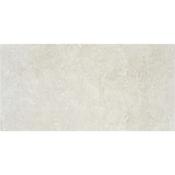 STN Premiere Ivory Polished 60x120cm image