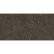 AB Tessino Bronze Polished 60x120cm