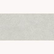 Baldocer Brunswich Ceniza 60x120cm image