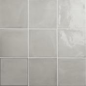 Fayenza Grey 12.3x12.3 cm image