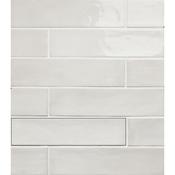 Fayenza White 6x24.6 cm image