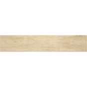 Stn Tacora Beige 23x120 cm image