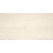 Stn Windsor Ivory 25x50 cm image