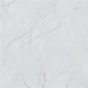 Stn Caryn Bianco Polished 100x100 cm