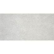 Stn Regina Pearl 60x120 cm