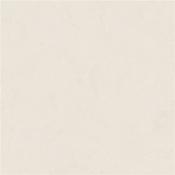 Phase Ivory Matt 100x100 cm image