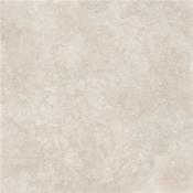Premiere Natural Matt 120x120cm