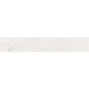Camden White Mate 25x150cm