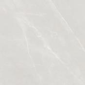 Paradise Pearl Polished 60x60cm