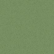 Micra Verde 60x60 cm image