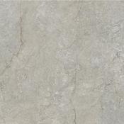 Gobi Natural Matt 100x100 cm