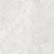 Gobi Pearl Matt 100x100 cm image