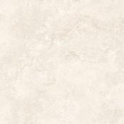 Siena Ivory Matt 100x100 cm image