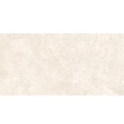 Siena Ivory Matt 60x120 cm