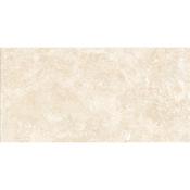 Siena Natural Matt 60x120 cm