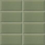 Bissel Green Olive 10x20 cm