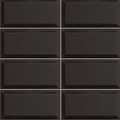 Bissel Negro 10x20 cm