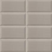 Bissel Pearl 10x20 cm