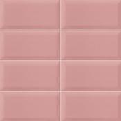 Bissel Pink 10x20 cm image