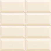 Bissel Vison 10x20 cm