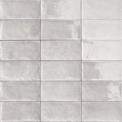 Camden Grey 10x20 cm image