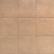 Canem Season 20x20 cm