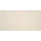 Native Ivory Light Matt 60x120 cm image