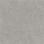 Ulisse Grey Polished 100x100 cm image