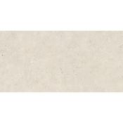 Salerno Avorio Matt 60x120 cm image