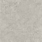 Orion Grey Matt 120x120 cm image