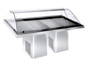 Combisteel Refrigerated Fish Display 2.3 image