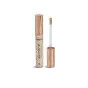 Brighten Up Liquid Concealer 1.0 Vanilla image