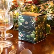 Frosted Fir And Holly Candle 170Ml image