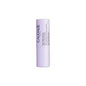 Lip Conditioner
