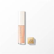 Teint Idole Concealer 120N