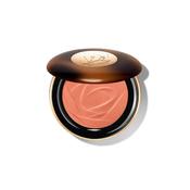 Teint Idole Bronzer 04 Medium image
