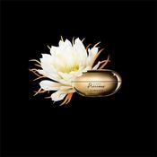 Precious La Creme Riche