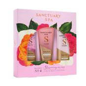 Sanctuary Lily And Rose Trio